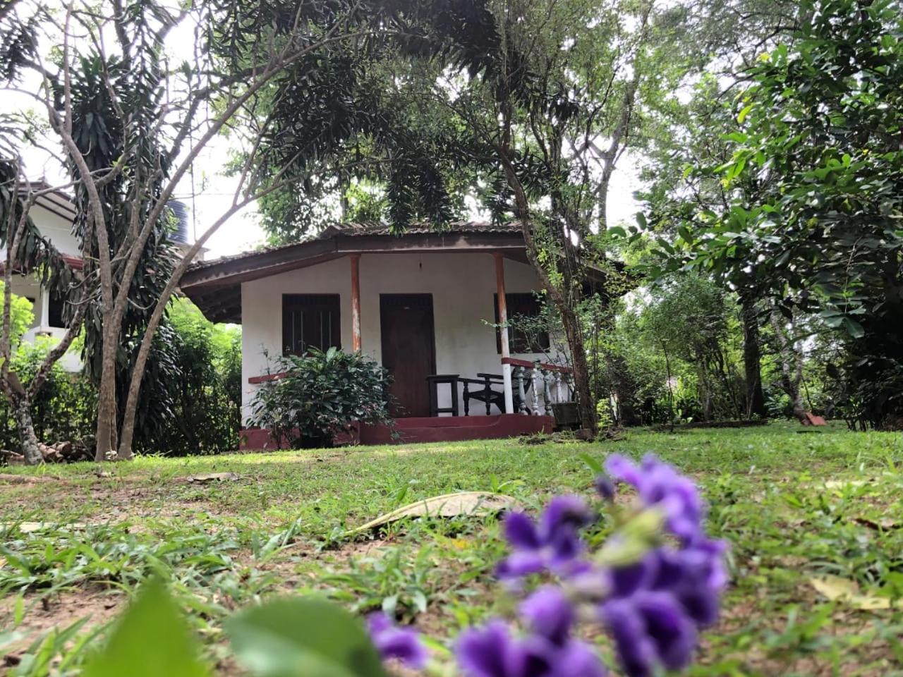 Calm Garden Cabanas 탕갈레 외부 사진