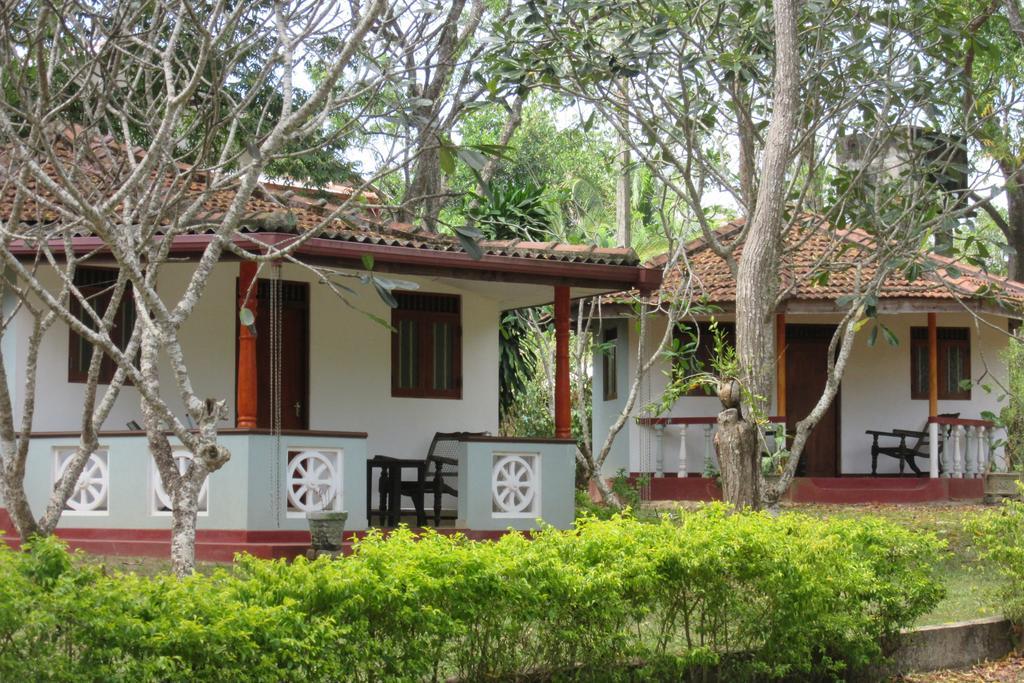 Calm Garden Cabanas 탕갈레 외부 사진