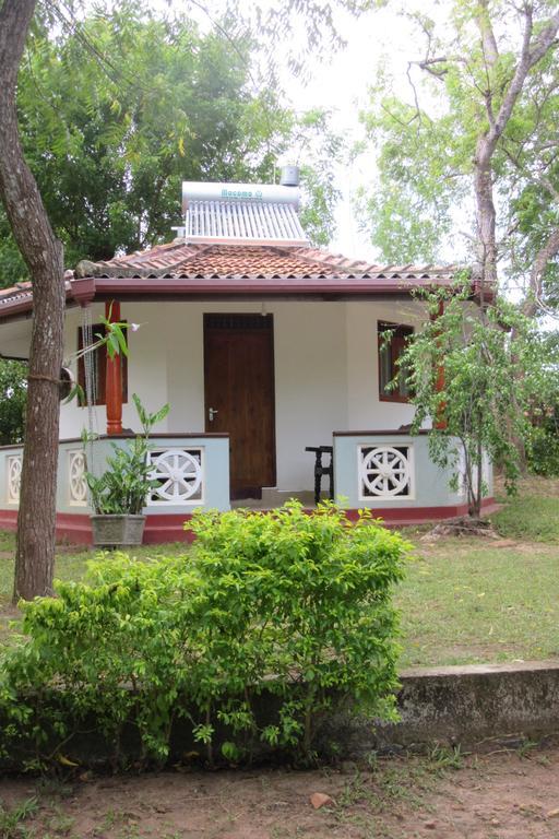 Calm Garden Cabanas 탕갈레 외부 사진