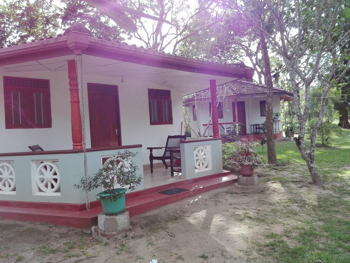 Calm Garden Cabanas 탕갈레 외부 사진