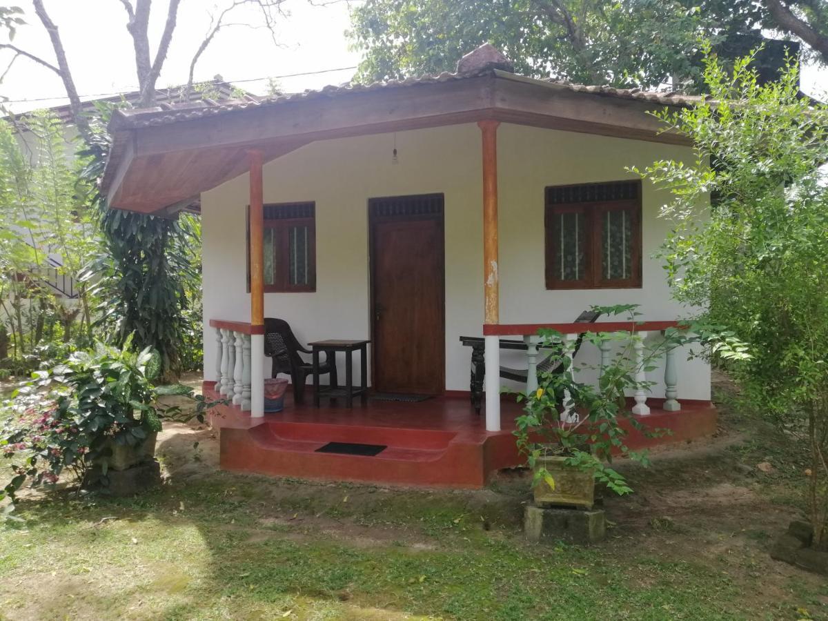Calm Garden Cabanas 탕갈레 외부 사진
