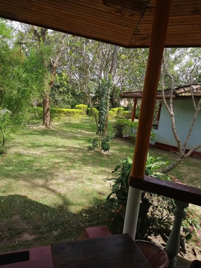 Calm Garden Cabanas 탕갈레 외부 사진
