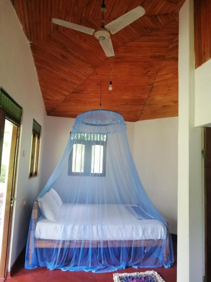 Calm Garden Cabanas 탕갈레 외부 사진