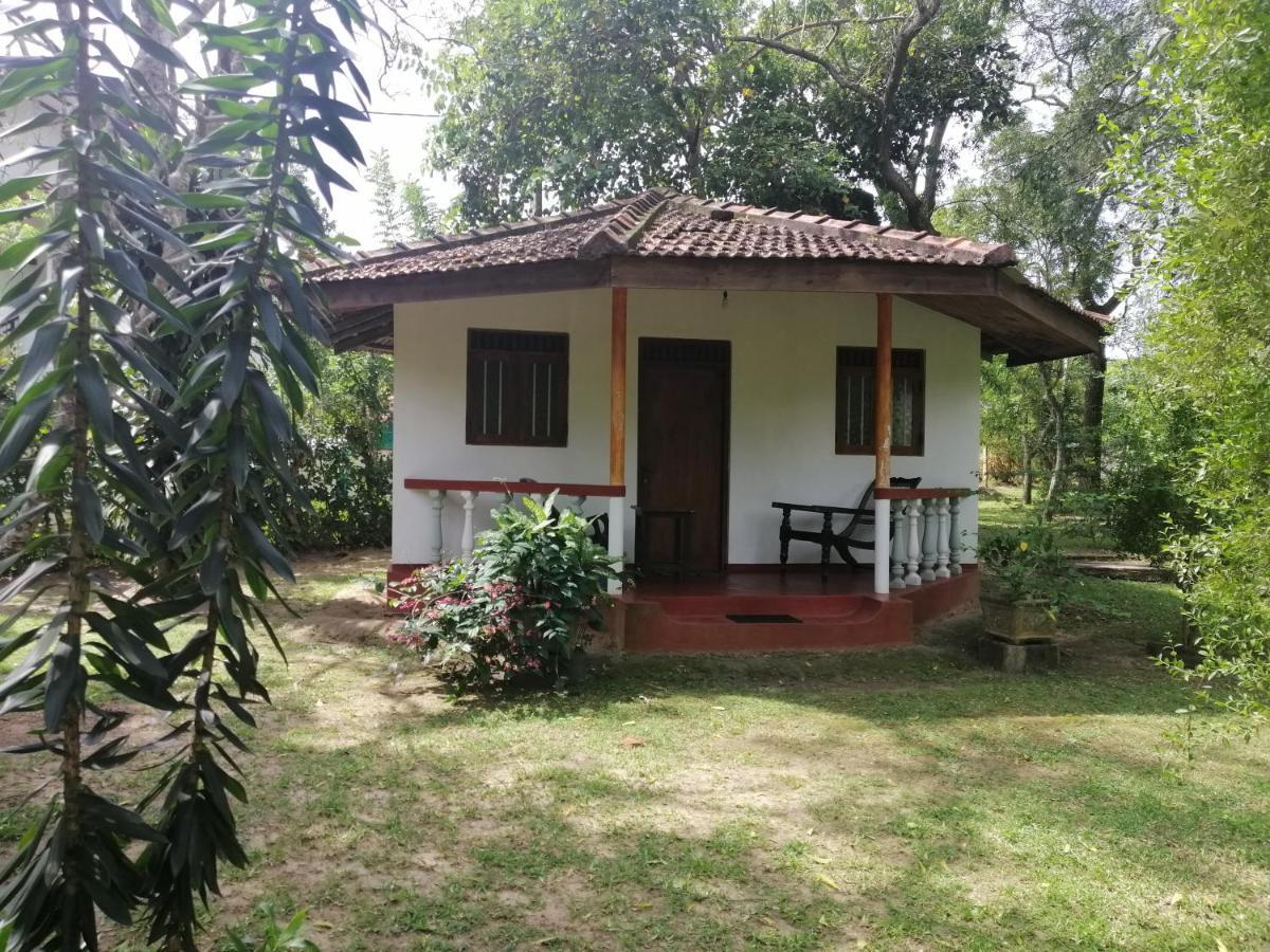 Calm Garden Cabanas 탕갈레 외부 사진